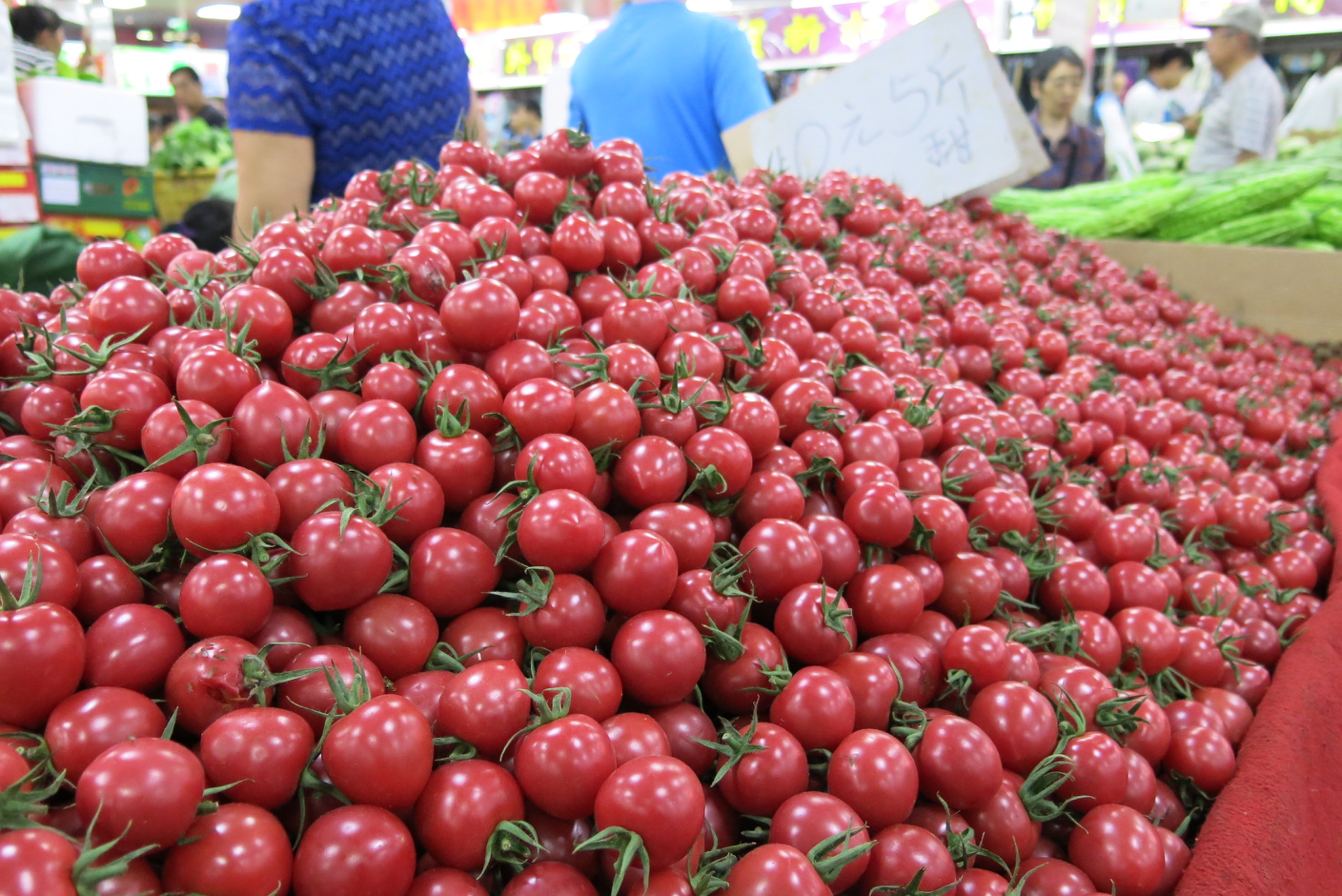 beijing tomatoes_resize